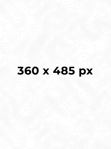 Portrait of Adam Smith, Studio Lead